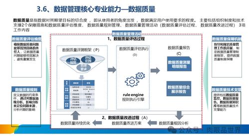 XX集團數(shù)據(jù)治理體系建設方案 數(shù)據(jù)處理服務